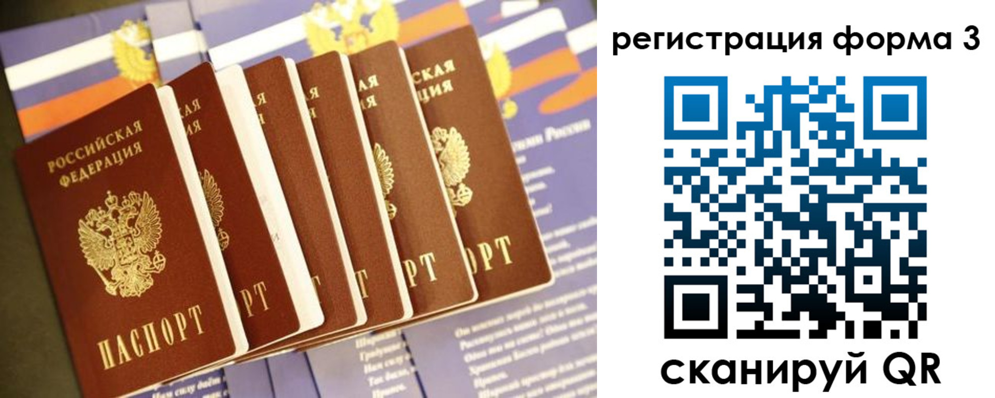 прописка поиск в Брянской области