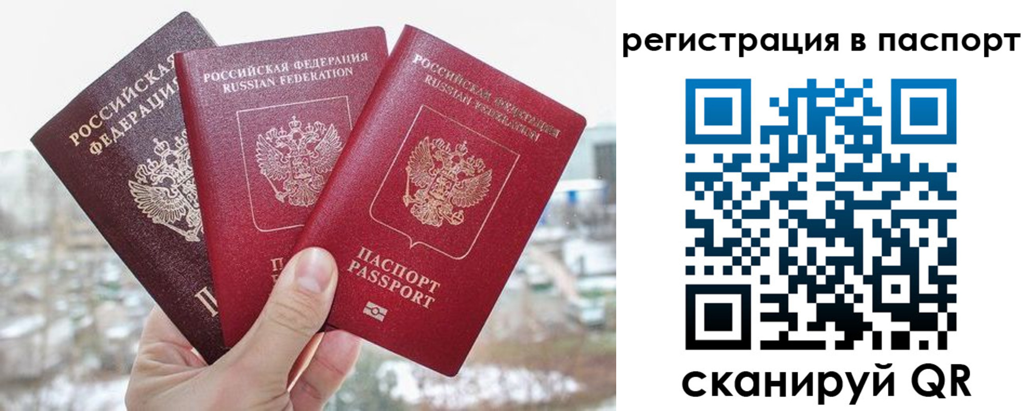регистрация для школы в Брянской области
